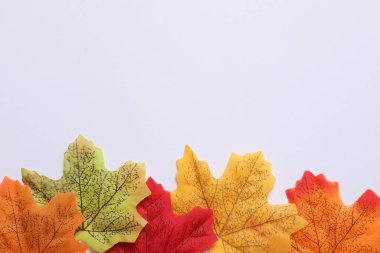 Turuncu arkaplanda Cadılar Bayramı balkabağı kompozisyonu.