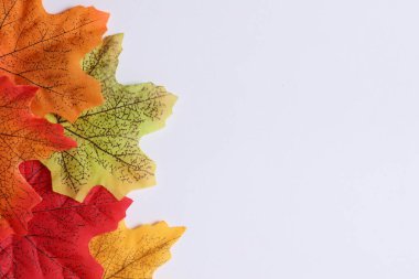 Turuncu arkaplanda Cadılar Bayramı balkabağı kompozisyonu.