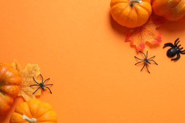 Turuncu arkaplanda Cadılar Bayramı balkabağı kompozisyonu.