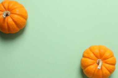 Turuncu arkaplanda Cadılar Bayramı balkabağı kompozisyonu.