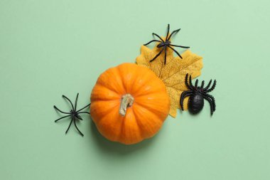 Turuncu arkaplanda Cadılar Bayramı balkabağı kompozisyonu.