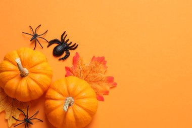 Turuncu arkaplanda Cadılar Bayramı balkabağı kompozisyonu.