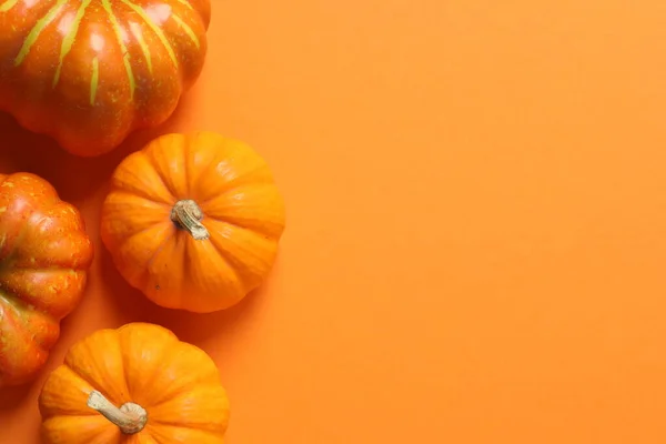 Turuncu arkaplanda Cadılar Bayramı balkabağı kompozisyonu.