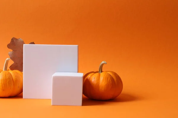 橘色背景的南瓜和空白卡片之间的光晕 秋天的概念 免版税图库图片