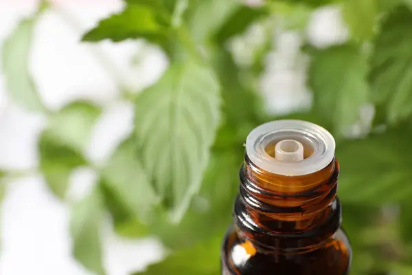 fresh herbal herbal medicine bottle on white background, medicine concept