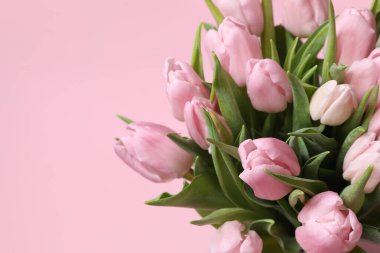 Renkli arka planda güzel pembe laleler