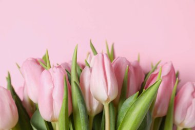 Renkli arka planda güzel pembe laleler