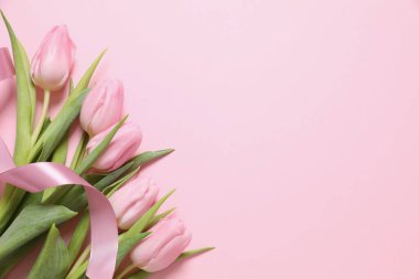 Renkli arka planda güzel pembe laleler