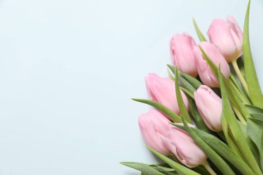 Renkli arka planda güzel bir lale çiçeği buketi