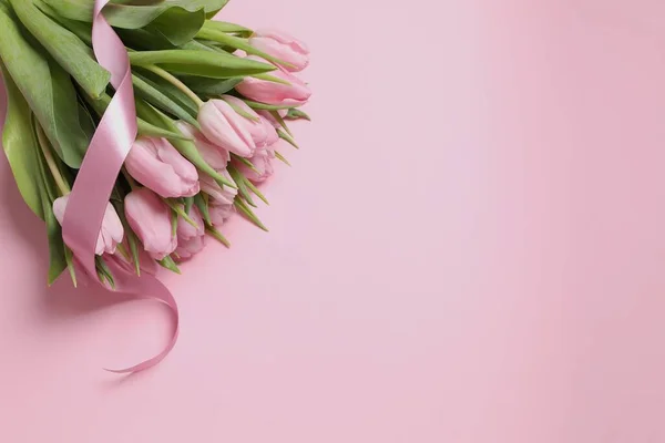 Beautiful pink tulips on colored background