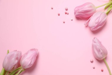 Renkli arka planda güzel pembe laleler