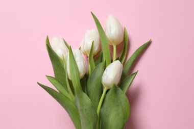 Renkli arka planda güzel beyaz laleler