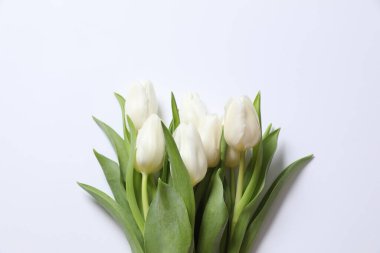 Renkli arka planda güzel beyaz laleler