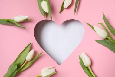 Pembe arka planda taze bahar laleleri olan bir kalp. Düz yatış, üst görünüm. 