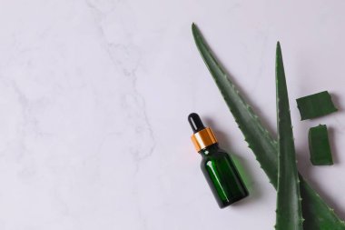Gri arka planda taze aloe vera yapraklı düz kozmetik serumu. Organik kozmetik ürünleri. Üst görünüm düzlüğü, kopyalama alanı. Kozmetik, SPA markalaşması, maket.