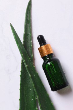 Beyaz arka planda taze aloe vera yapraklı düz bir kozmetik serumu. Organik kozmetik ürünleri. Üst görünüm düzlüğü, kopyalama alanı. Kozmetik, SPA markalaşması, maket.