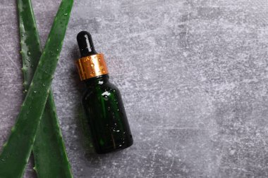 Gri arka planda taze aloe vera yapraklı düz kozmetik serumu. Organik kozmetik ürünleri. Üst görünüm düzlüğü, kopyalama alanı. Kozmetik, SPA markalaşması, maket.
