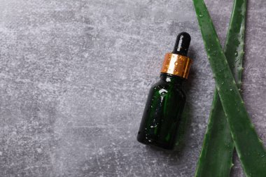 Gri arka planda taze aloe vera yapraklı düz kozmetik serumu. Organik kozmetik ürünleri. Üst görünüm düzlüğü, kopyalama alanı. Kozmetik, SPA markalaşması, maket.