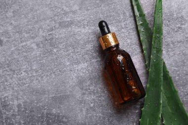 Gri arka planda taze aloe vera yapraklı düz kozmetik serumu. Organik kozmetik ürünleri. Üst görünüm düzlüğü, kopyalama alanı. Kozmetik, SPA markalaşması, maket.
