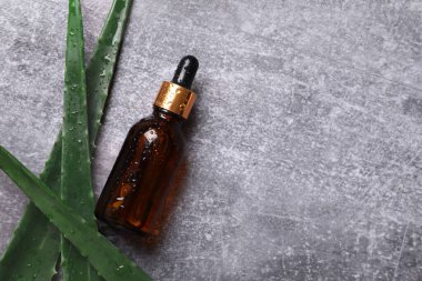 Gri arka planda taze aloe vera yapraklı düz kozmetik serumu. Organik kozmetik ürünleri. Üst görünüm düzlüğü, kopyalama alanı. Kozmetik, SPA markalaşması, maket.