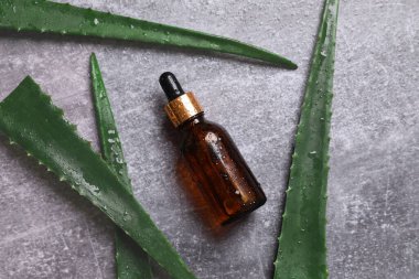 Gri arka planda taze aloe vera yapraklı düz kozmetik serumu. Organik kozmetik ürünleri. Üst görünüm düzlüğü, kopyalama alanı. Kozmetik, SPA markalaşması, maket.