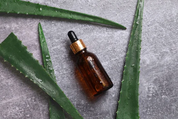 Gri arka planda taze aloe vera yapraklı düz kozmetik serumu. Organik kozmetik ürünleri. Üst görünüm düzlüğü, kopyalama alanı. Kozmetik, SPA markalaşması, maket.