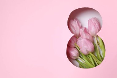 Pembe arka planda taze bahar laleleri olan 8 numara. Asgari Kadınlar Günü, 8 Mart ya da doğum günü konsepti. Düz yatış, üst görünüm.