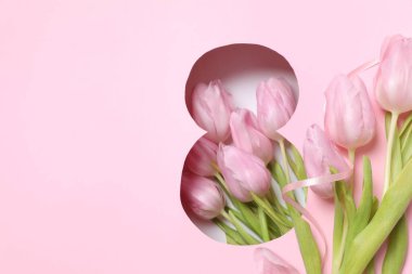 Pembe arka planda taze bahar laleleri olan 8 numara. Asgari Kadınlar Günü, 8 Mart ya da doğum günü konsepti. Düz yatış, üst görünüm.