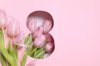 Pembe arka planda taze bahar laleleri olan 8 numara. Asgari Kadınlar Günü, 8 Mart ya da doğum günü konsepti. Düz yatış, üst görünüm.