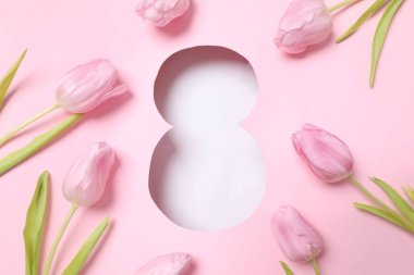 Pembe arka planda taze bahar laleleri olan 8 numara. Asgari Kadınlar Günü, 8 Mart ya da doğum günü konsepti. Düz yatış, üst görünüm.