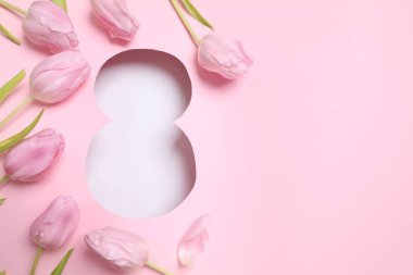 Pembe arka planda taze bahar laleleri olan 8 numara. Asgari Kadınlar Günü, 8 Mart ya da doğum günü konsepti. Düz yatış, üst görünüm.