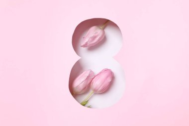 Pembe arka planda taze bahar laleleri olan 8 numara. Asgari Kadınlar Günü, 8 Mart ya da doğum günü konsepti. Düz yatış, üst görünüm.