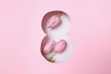 Pembe arka planda taze bahar laleleri olan 8 numara. Asgari Kadınlar Günü, 8 Mart ya da doğum günü konsepti. Düz yatış, üst görünüm.