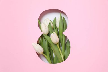 Pembe arka planda taze bahar laleleri olan 8 numara. Asgari Kadınlar Günü, 8 Mart ya da doğum günü konsepti. Düz yatış, üst görünüm.