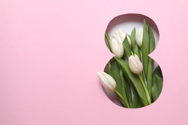 Pembe arka planda taze bahar laleleri olan 8 numara. Asgari Kadınlar Günü, 8 Mart ya da doğum günü konsepti. Düz yatış, üst görünüm.