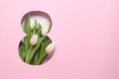 Pembe arka planda taze bahar laleleri olan 8 numara. Asgari Kadın Günü, 8 Mart konsepti. 