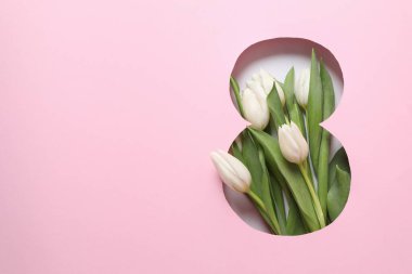Pembe arka planda taze bahar laleleri olan 8 numara. Asgari Kadın Günü, 8 Mart konsepti. 