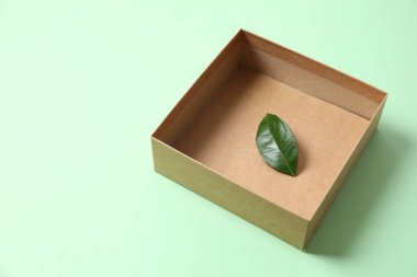 Renkli arkaplanda yaprak olan kutuyu aç