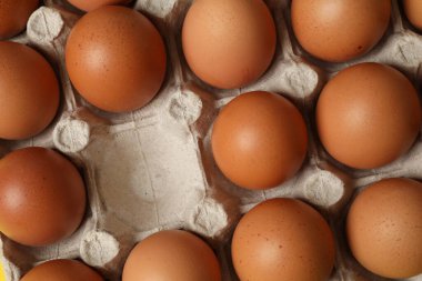 Beyaz arkaplanda kırmızı gül yaprakları