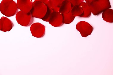 Renkli arkaplanda kırmızı gül yaprakları