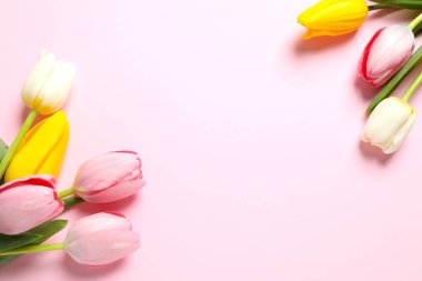 Renk arka plan üzerinde güzel taze laleler