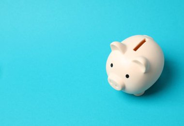 Para tasarrufu, mali güvenlik veya kişisel fon kavramı için renkli arkaplan üzerine domuz sikkesi bankası