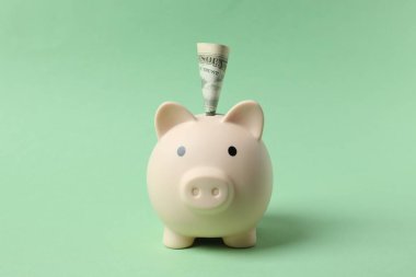 Para tasarrufu, mali güvenlik veya kişisel fon kavramı için renkli arkaplan üzerine domuz sikkesi bankası