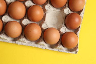 taze yumurta karton bir tepsi içinde