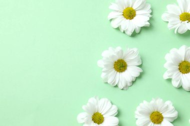 Renkli bir arkaplanda beyaz papatya çayı