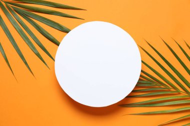 Renkli arka planda beyaz bir kart ile yeşil palmiye yaprakları