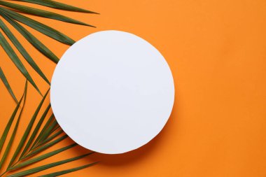 Renkli arka planda beyaz bir kart ile yeşil palmiye yaprakları