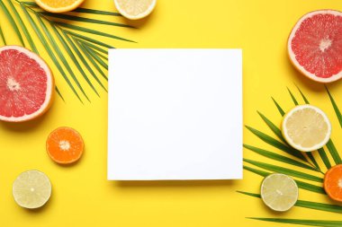 Beyaz kartla yazlık tropikal kompozisyon. Renkli arka planda yeşil palmiye yaprakları ve tropikal meyveler. Yaz kavramı. Düz konum, üst görünüm, kopyalama alanı