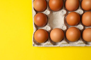 taze yumurta karton bir tepsi içinde