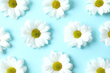 Renkli arkaplanda güzel papatya çayı